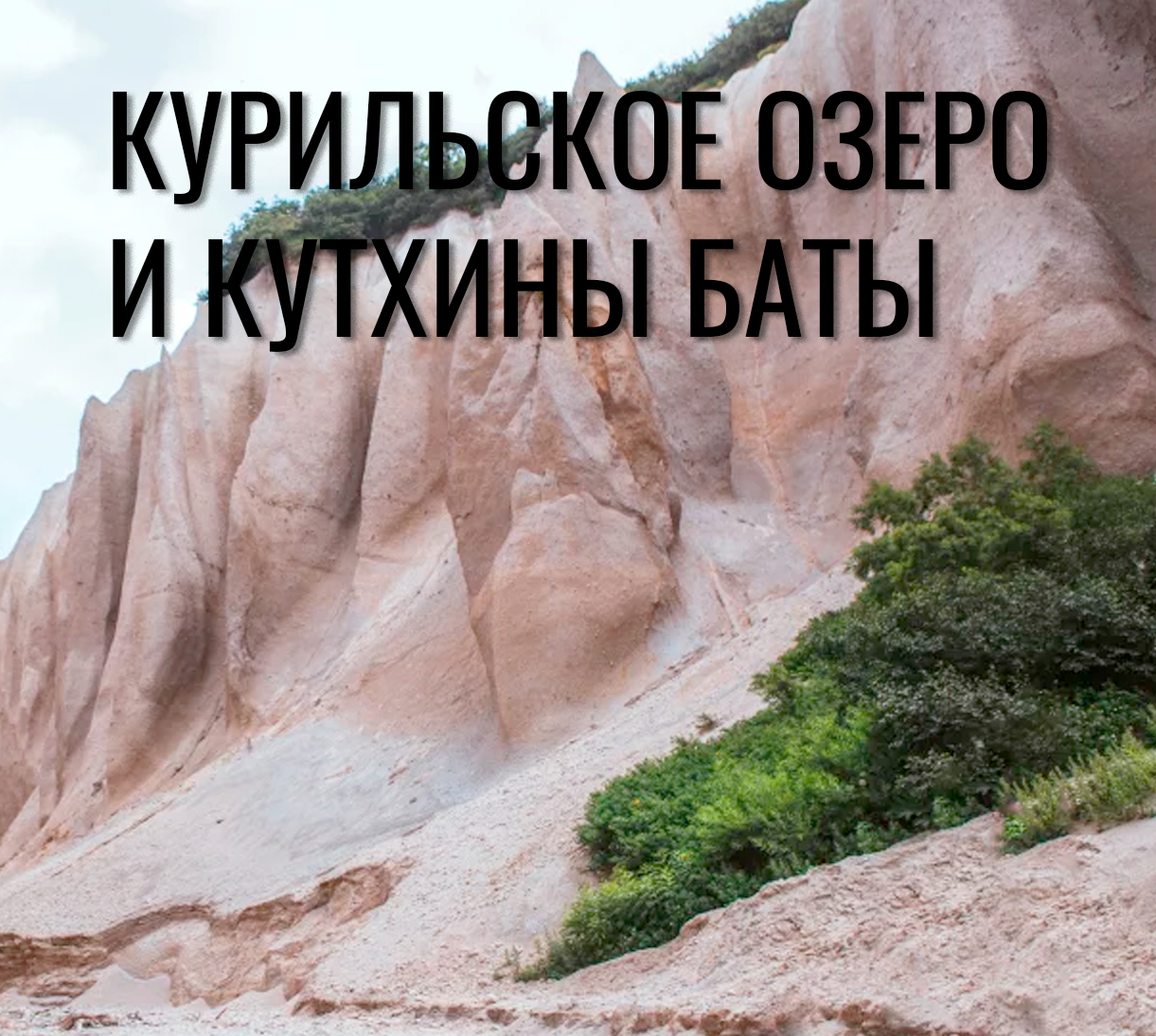 Экскурсии по Камчатке с наблюдением за медведями