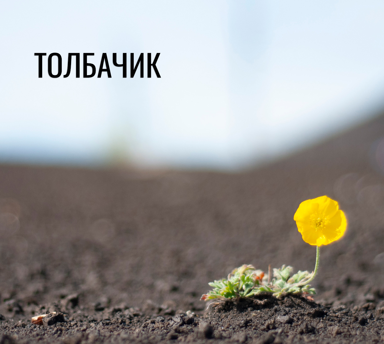Треккинг по Камчатке: экскурсии к вулканам и мёртвому лесу