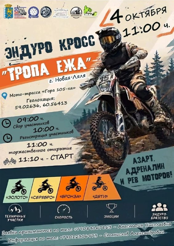 Создано из ingestion candidate